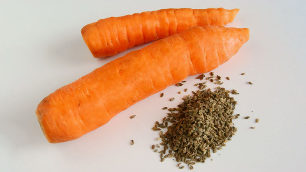 De carotte, Graines de Parasites